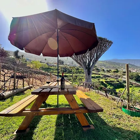 Feriehus Oscar Burchard La Orotava