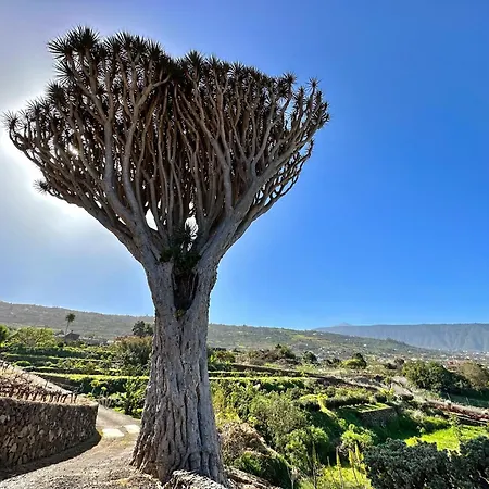 Feriehus Oscar Burchard