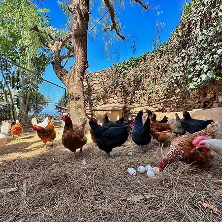 Feriehus Oscar Burchard *